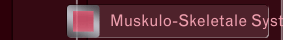 Muskulo-Skeletale System