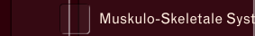 Muskulo-Skeletale System